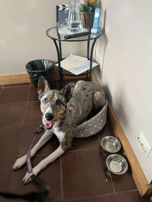 Гостиница Кино Хостел Санкт-Петербург-223